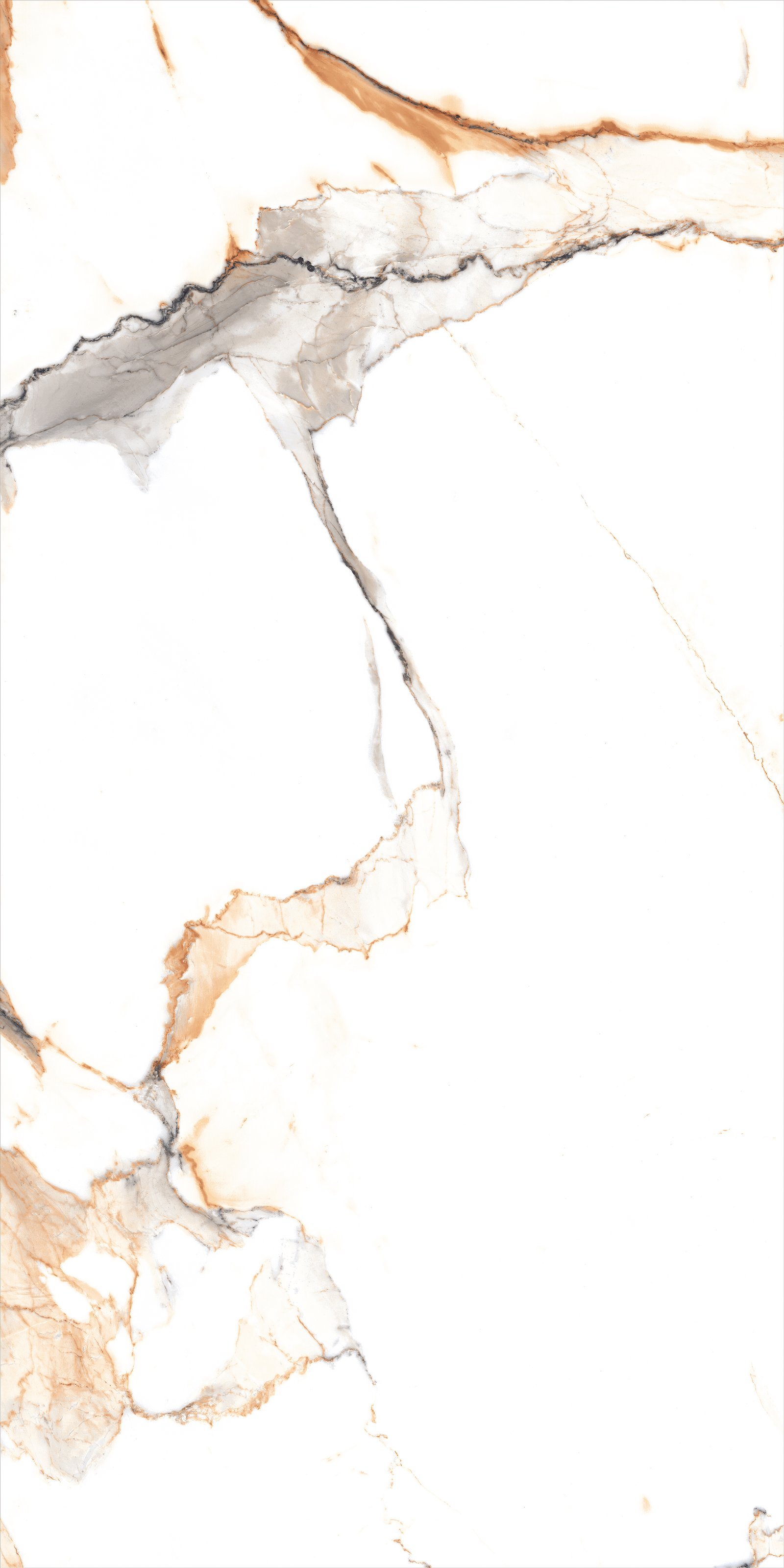 shop-2_01